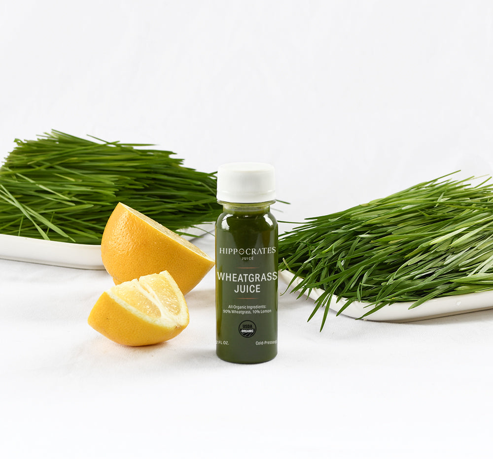 Hippocrates_WheatgrassShot_02_web_8f75367f-bb73-4d86-b18e-cf9860b54ce8.jpg