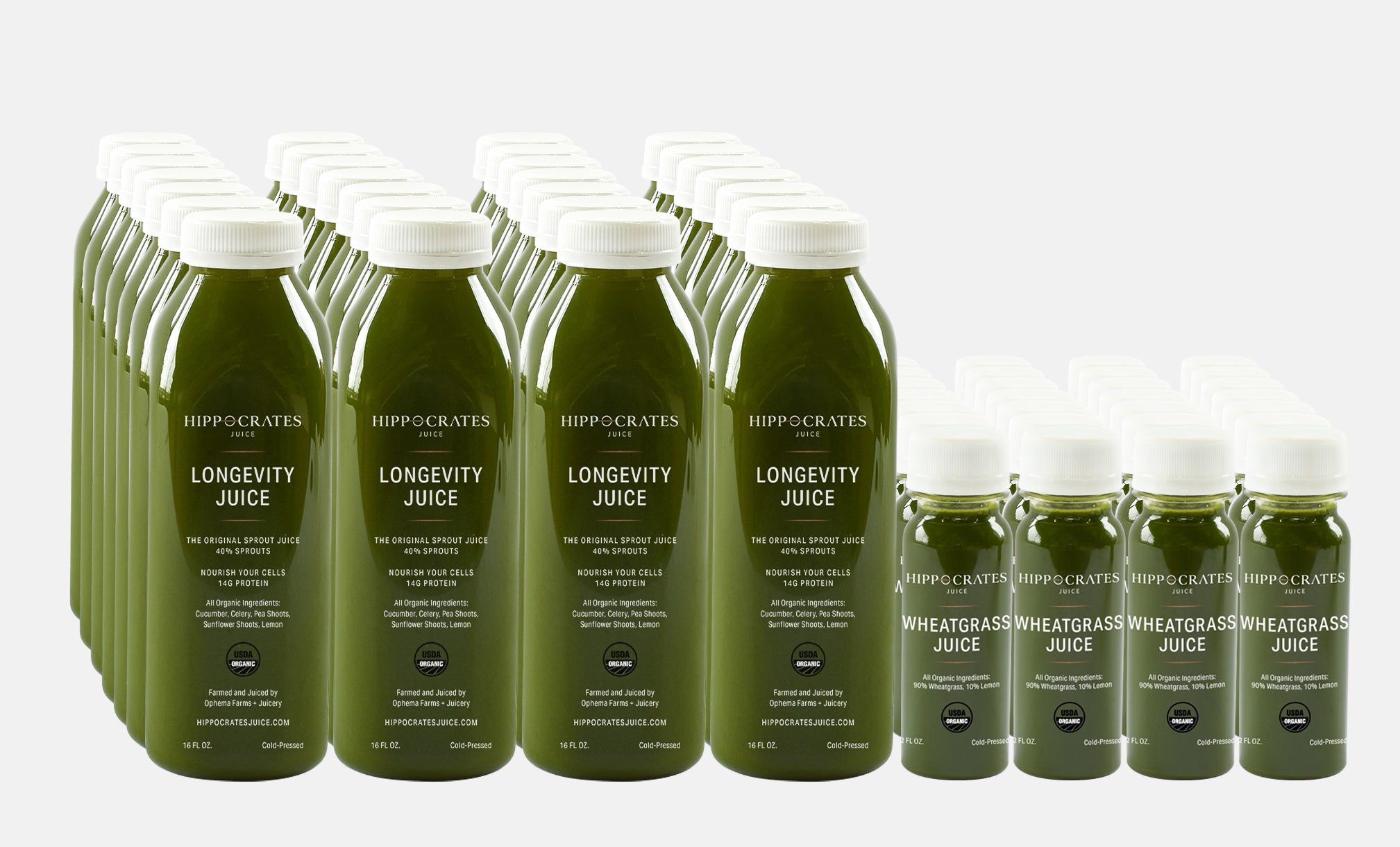 Now In Stock! Monthly Juice Package + Wheatgrass Juice