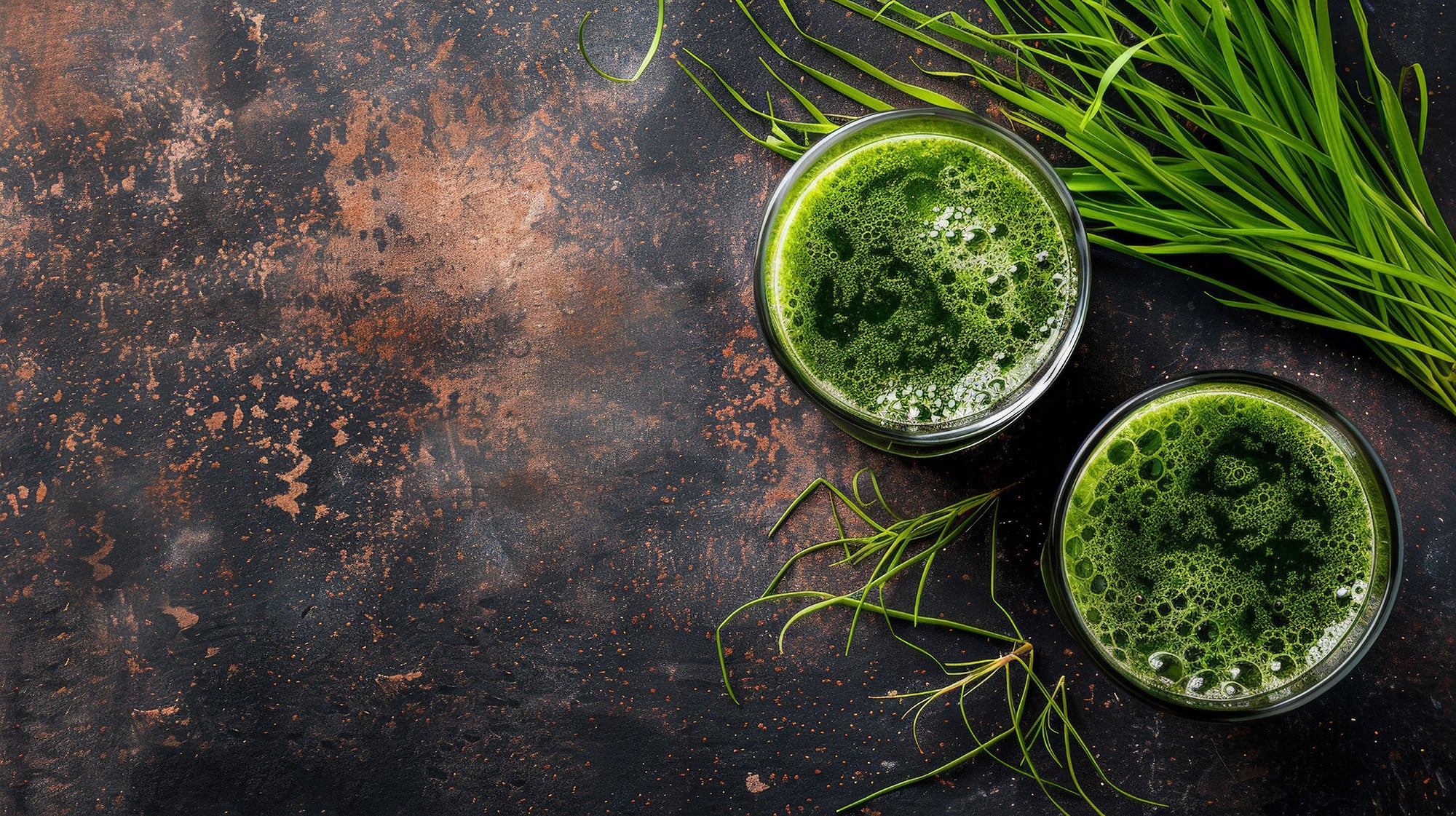 Wheatgrassshots_header_web.jpg